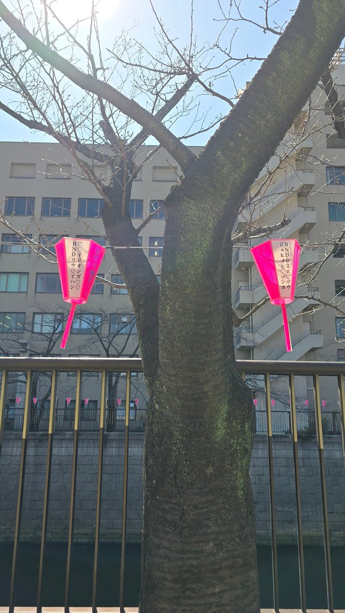 トットランド.- - ʙɴᴅ₆𖠿⸝🗝 tweet media