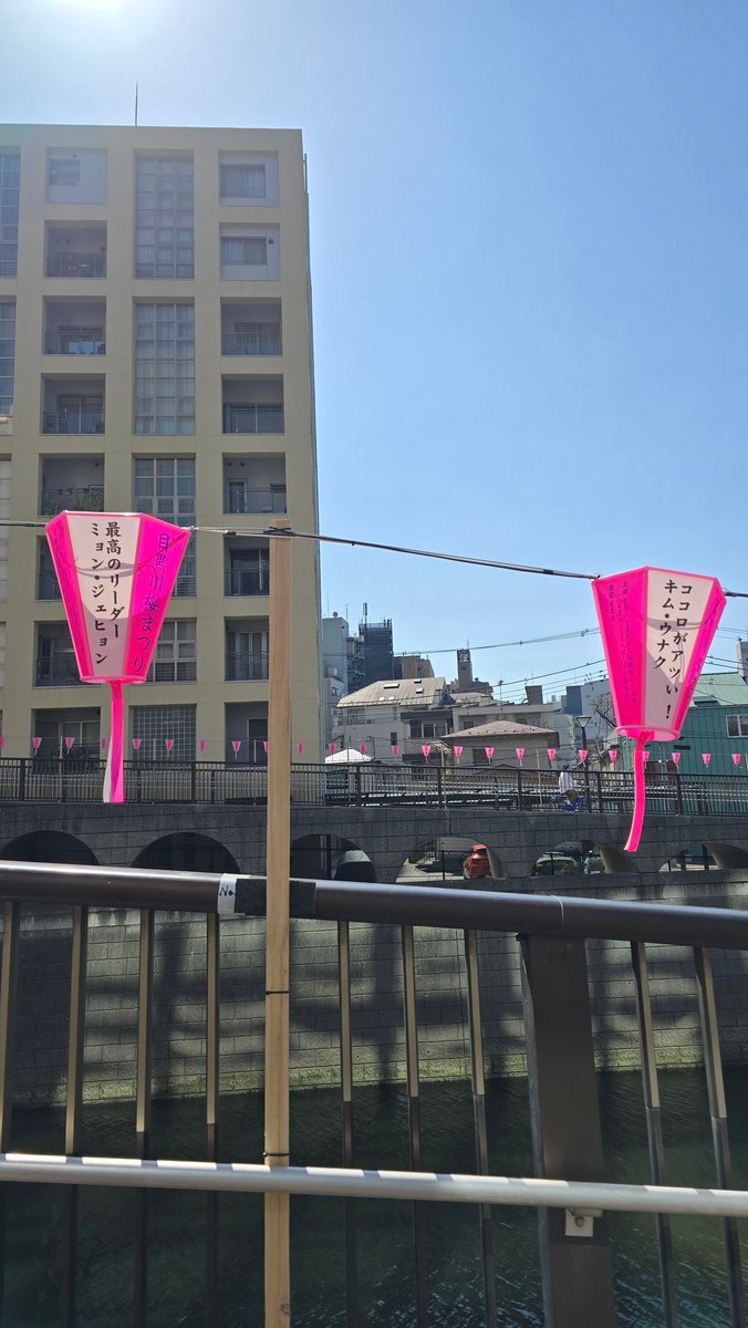 トットランド.- - ʙɴᴅ₆𖠿⸝🗝 tweet media