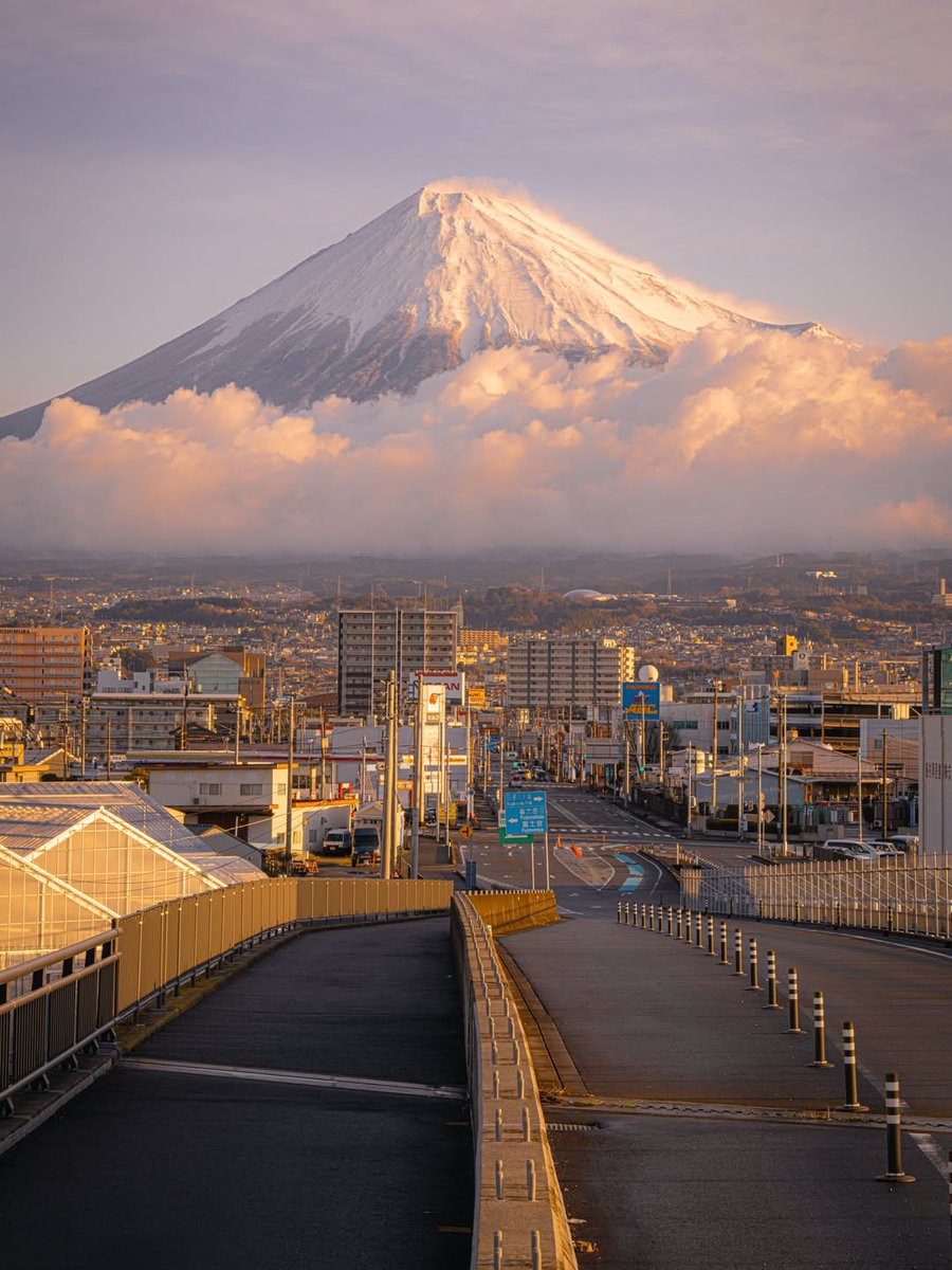 Seascape Nature tweet media