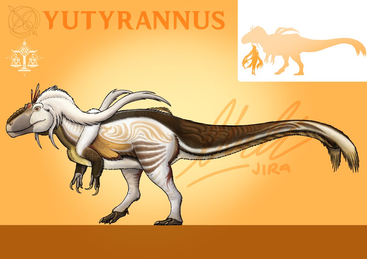 NICKJIRA tweet media