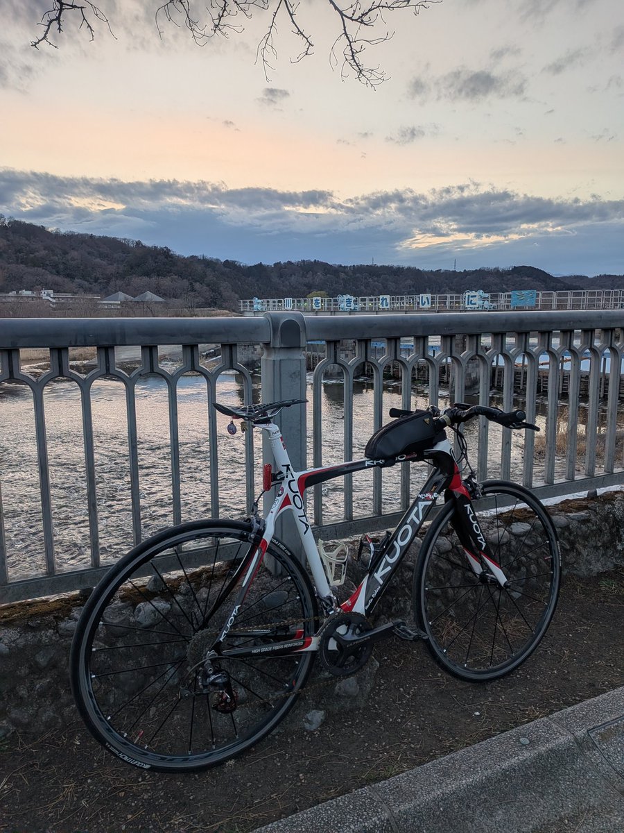 アヒル君@おりたた民 tweet media