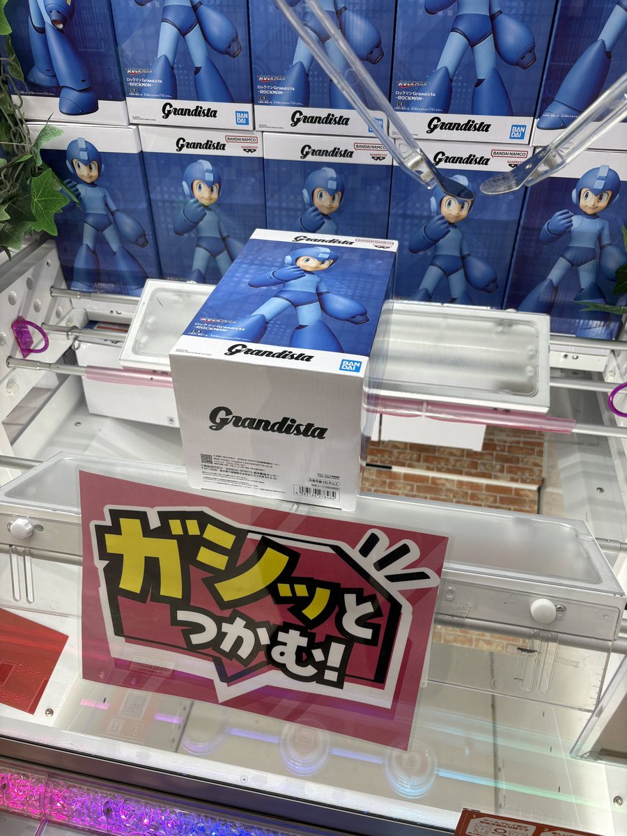 o.o@ポケカ tweet media