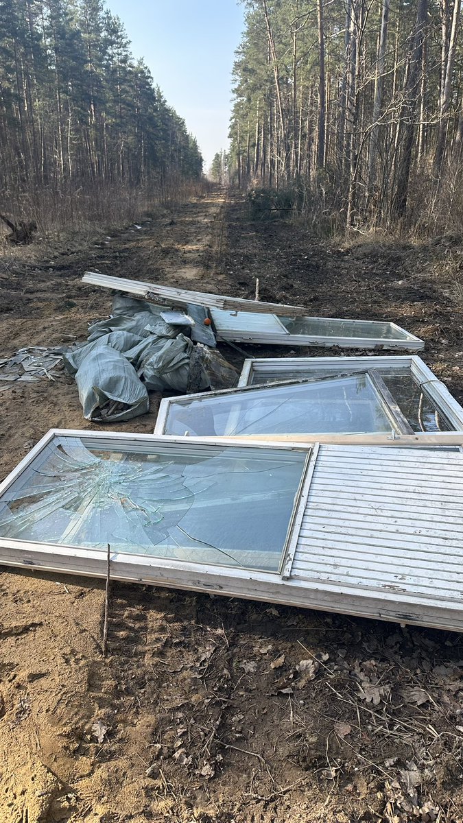 Guna_Gavrilko tweet media