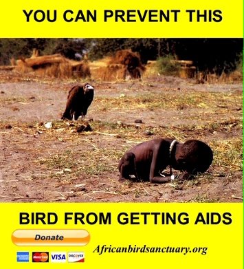 𝐀𝐭𝐨𝐦𝐢𝐜𝐑𝐞𝐯𖦏𝐥𝐭𝐫 tweet media