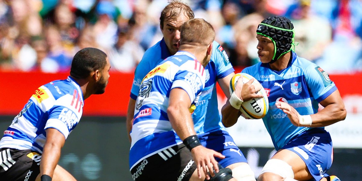 Springboks tweet media