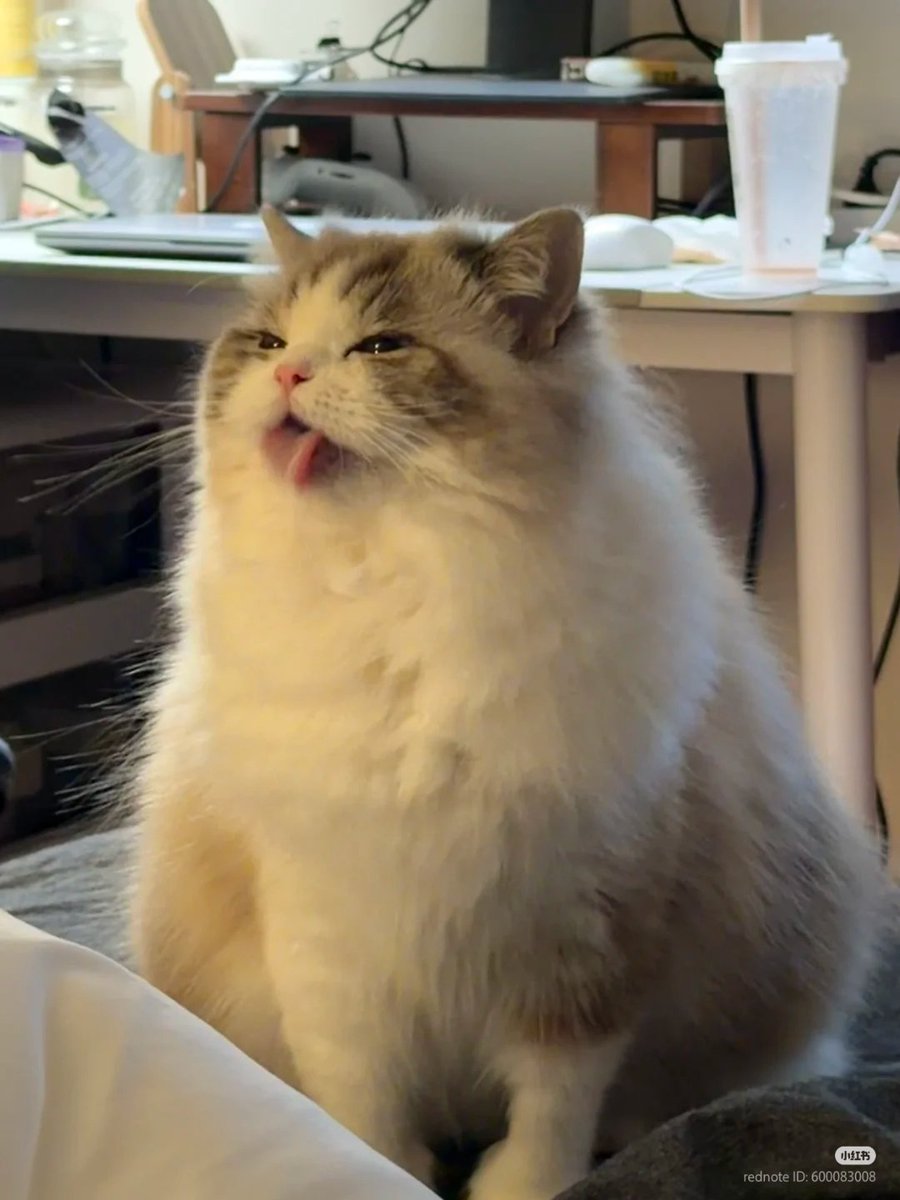 Psycholégiste ⚖️🧠 tweet media