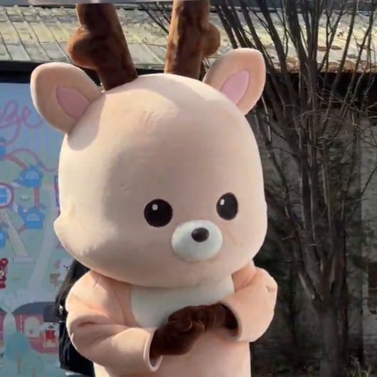 SUNGCHAN THAILAND 🇹🇭 tweet media