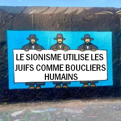 Catherine Debusne🐞Vérité Paix Justice Liberté tweet media