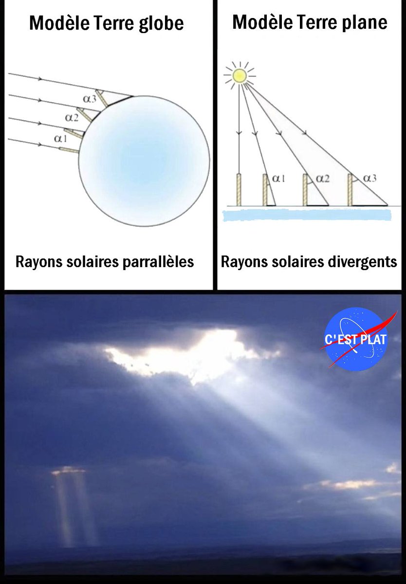 Catherine Debusne🐞Vérité Paix Justice Liberté tweet media