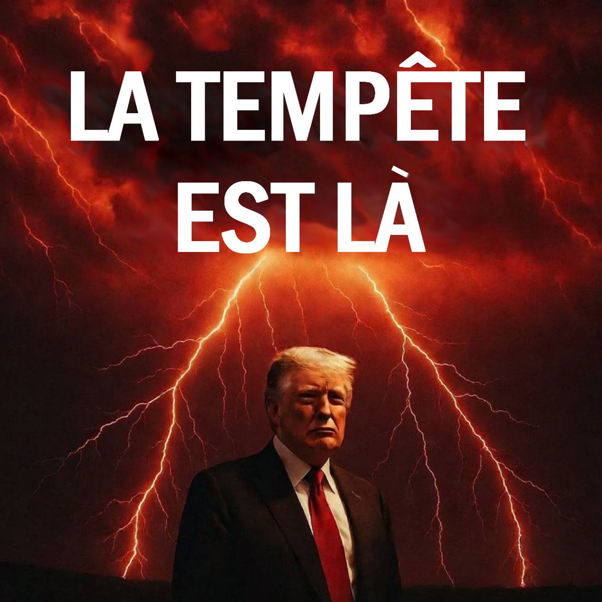 Catherine Debusne🐞Vérité Paix Justice Liberté tweet media