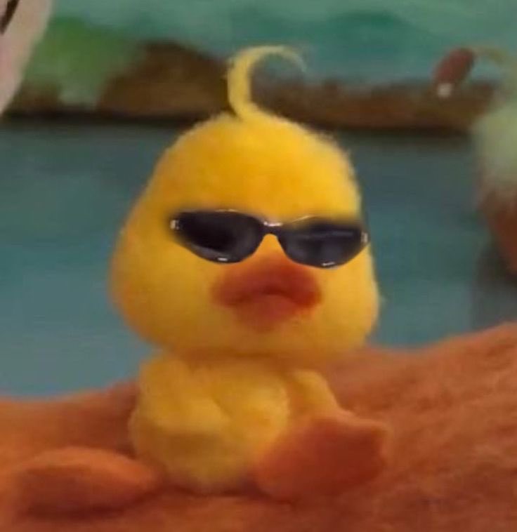 𝙻𝚎𝚎 tweet media