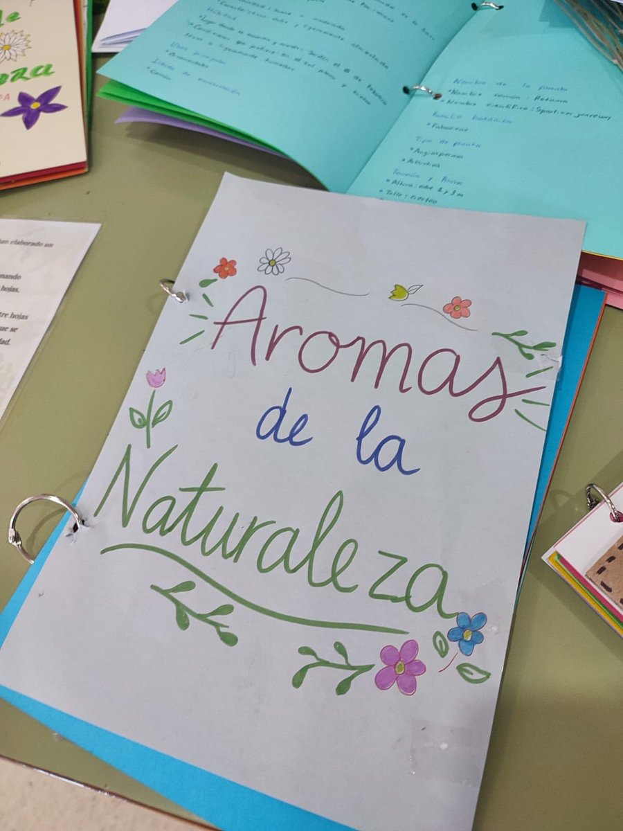 IES Modesto Navarro tweet media