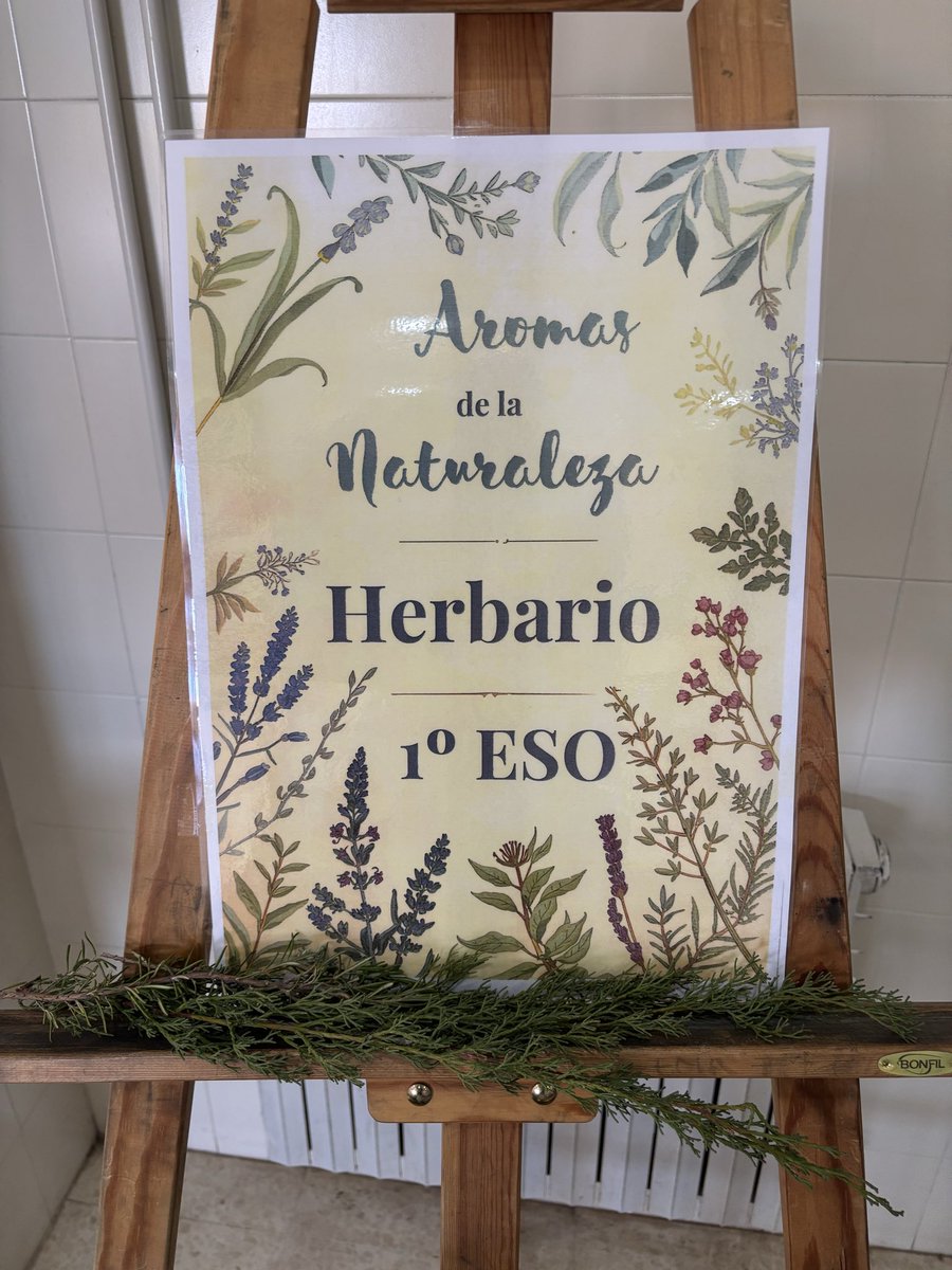 IES Modesto Navarro tweet media