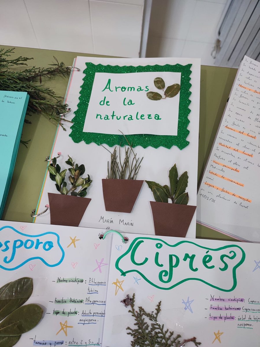 IES Modesto Navarro tweet media