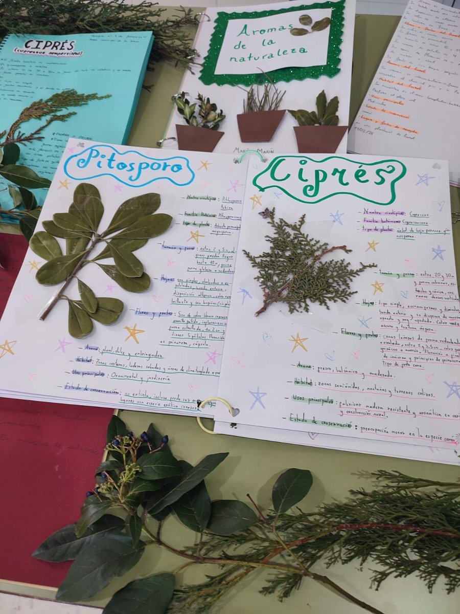 IES Modesto Navarro tweet media