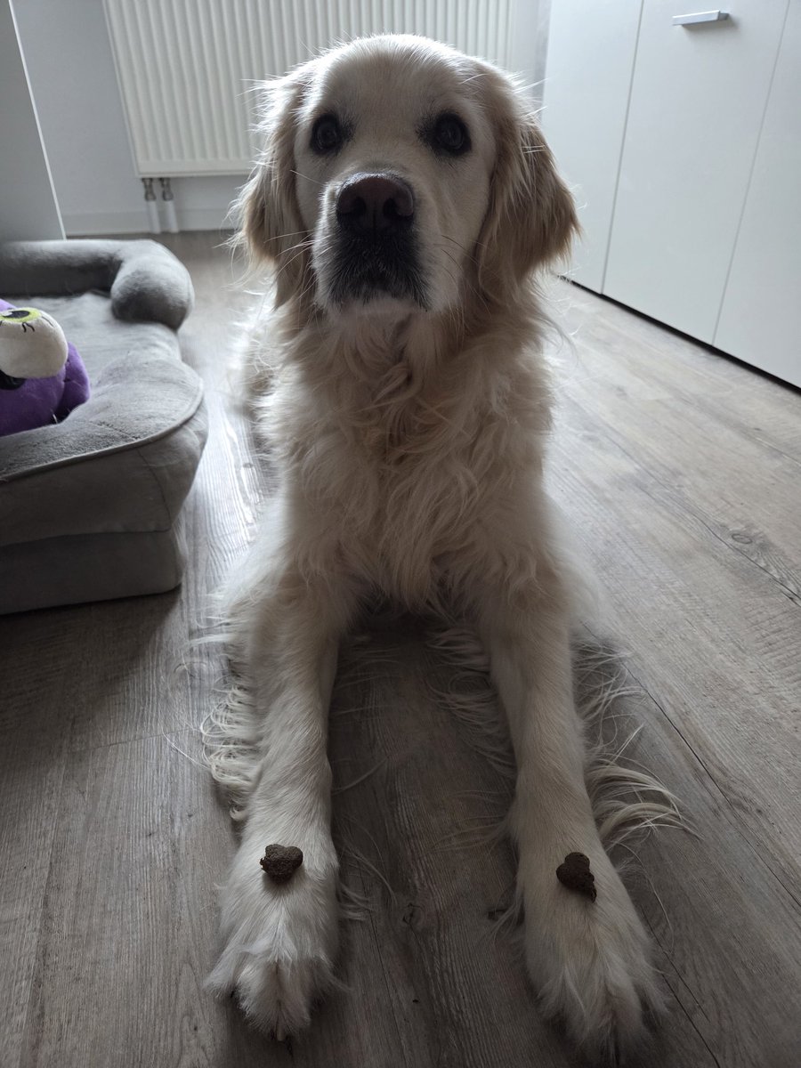 Fraule nennt es "Impulskontrolle", ich nenne es GEMEIN! 😭
