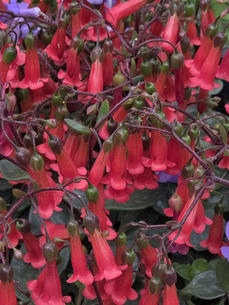 네스🏀 tweet media