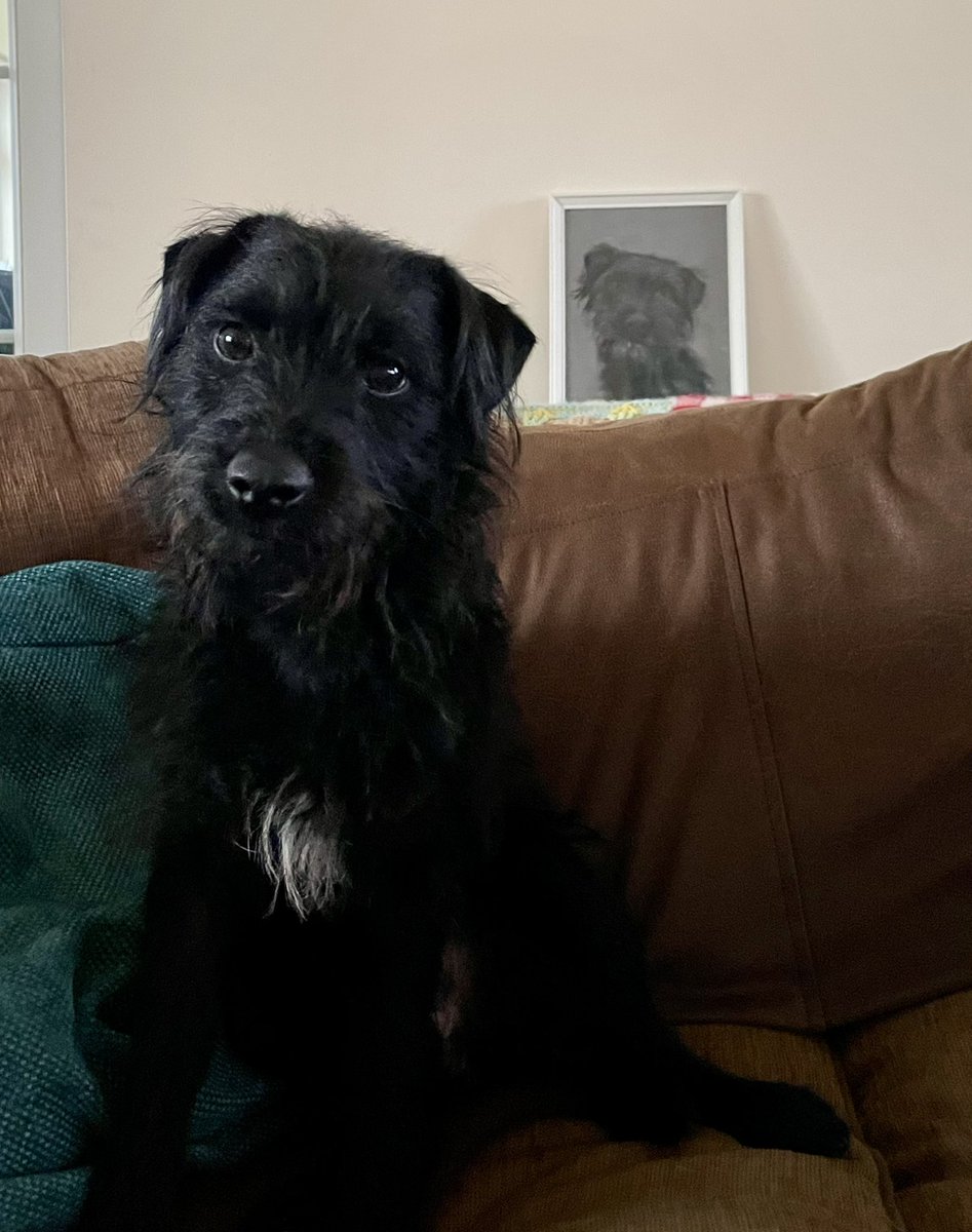 Adele and Rex (former staff to Monty🌈& Jilly🌈) tweet media