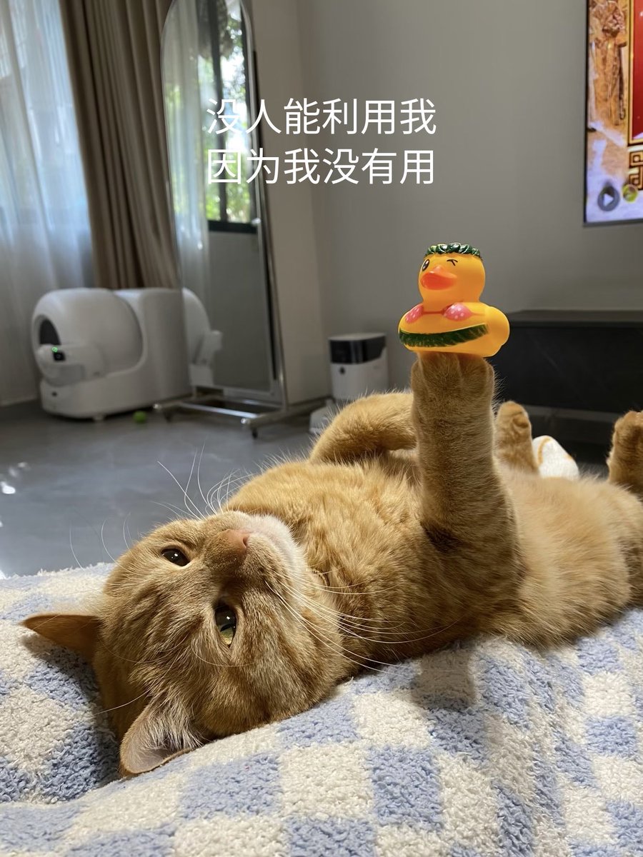 Myra Wang tweet media