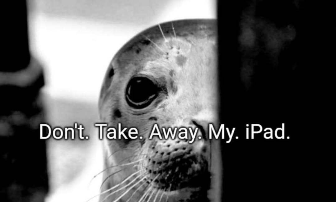 Grande (@sixrande) on Twitter photo 