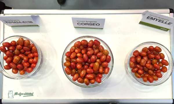 José Antonio Arcos tweet media