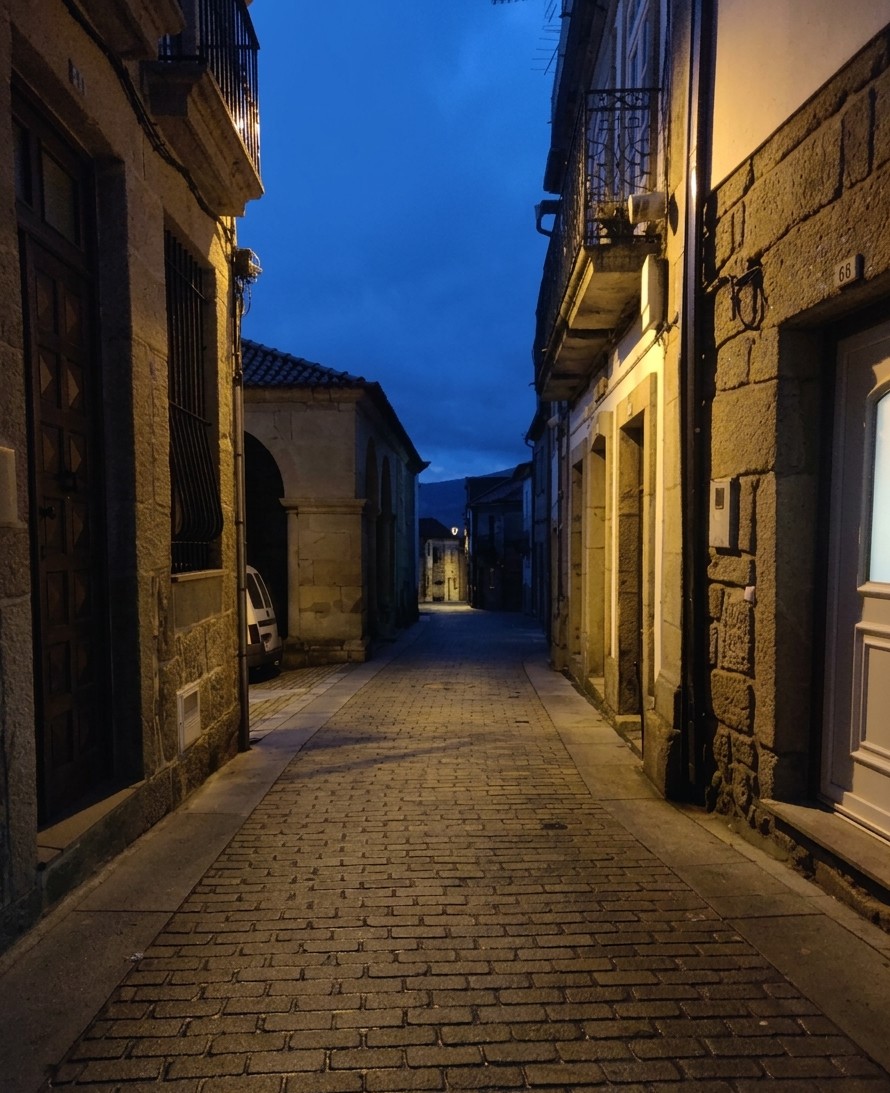 Ivo Xavier tweet media