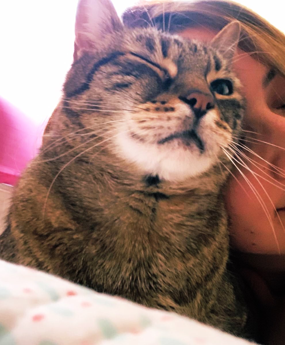 airi🖤🎮 tweet media