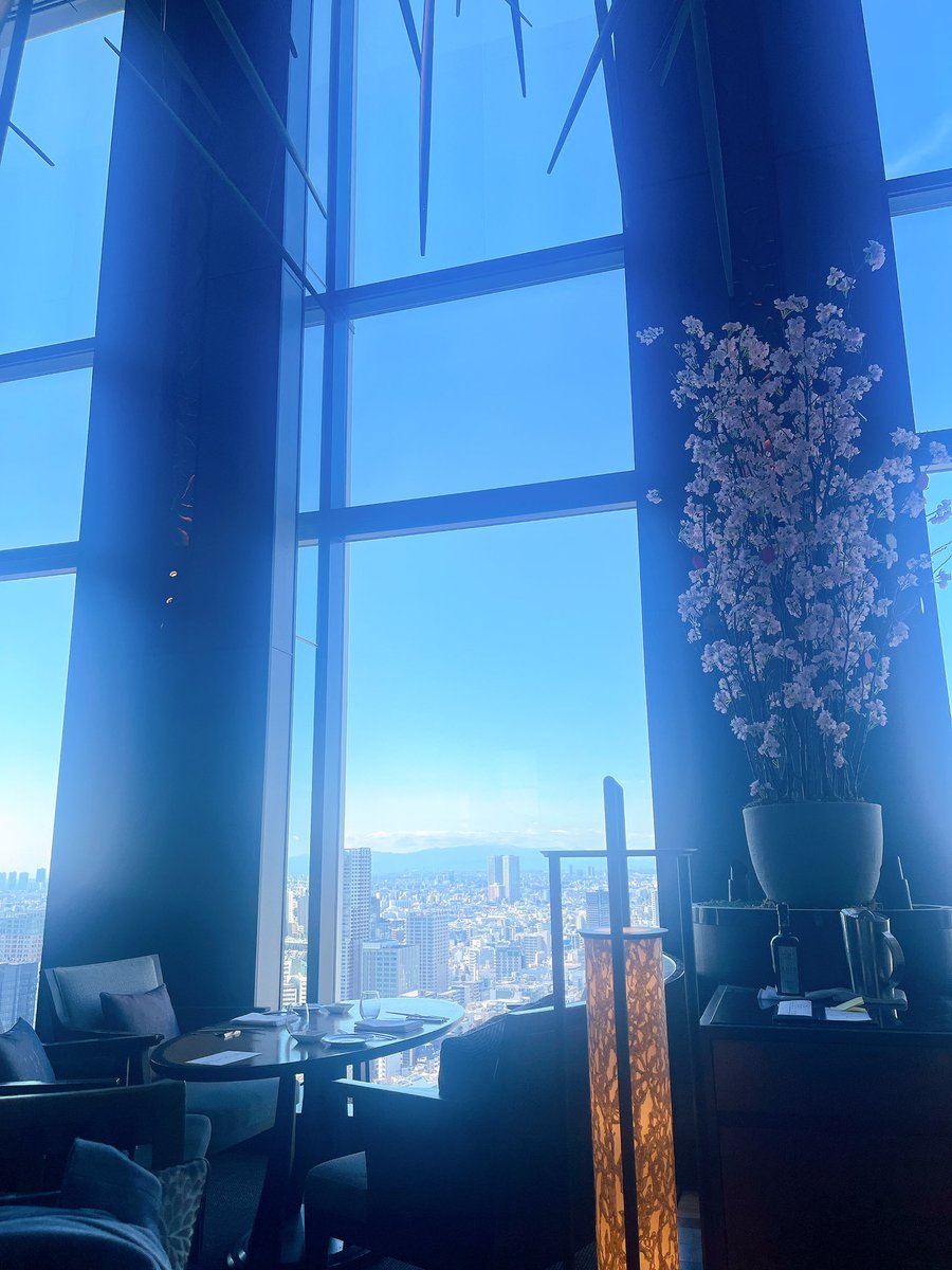 _kyon_6_'s tweet photo. 友達と品プリのDINING &amp; BAR TABLE 9 TOKYOでランチ🍽開放的な空間でお天気も良くてゆっくり過ごせて幸せ✨️
お料理もどれも美味しくてお酒が大変進みました☺️ https://t.co/KgXE1eQCwV
