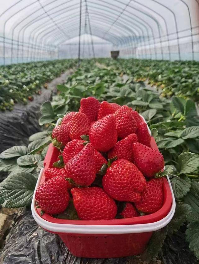 Виталя tweet media