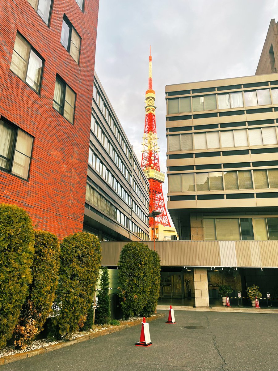 meguminozaki's tweet photo. 今日は東京に戻ってそのまま、楽しみだった劇伴Recへ！🗼🥁✨沢山叩いたーーー！！
大先生方の流石の音楽に、移動の疲れも忘れる４時間録音🙏✨
ありがとうございました！！お知らせお楽しみにー！！ https://t.co/UTNJVxi5HC
