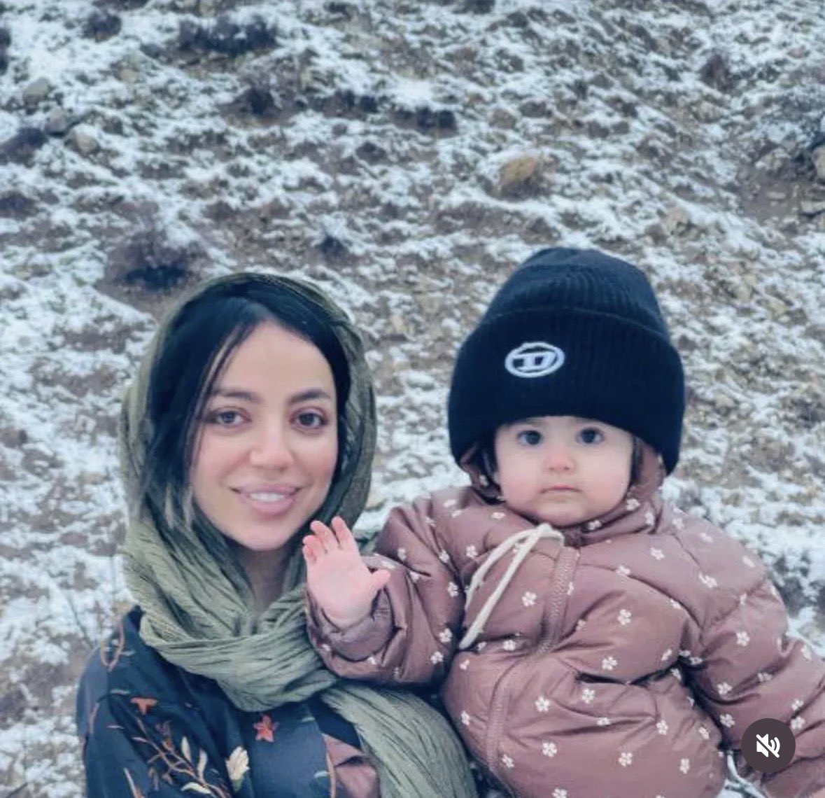 Freedom Bird (پرنده)🕊زن زندگی آزادی tweet media