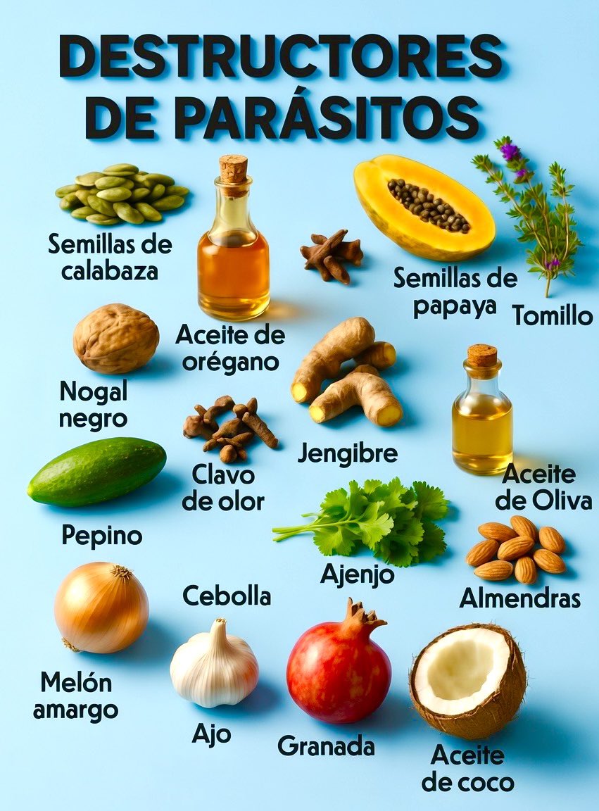 Librattus's tweet photo. Deja que la Comida Sea Tu Medicina. 🥒🥗🥦🥕🥔🌽 https://t.co/4kvUQkpvK7