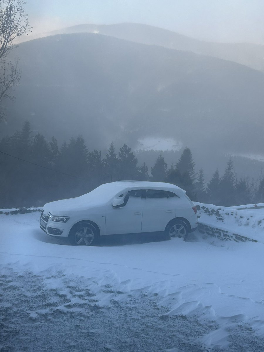 paucampo's tweet photo. Torb fort a Dorria, Ripollès (1550m). Durant la nit ha nevat uns 4-5cm ara ja moguts pel fort vent. Costa caminar, eviteu desplaçaments…. @P4Estacions @meteocat @meteopuigcerda @btveltemps @TomasMolinaB @alexmegapc @MeteoPiri https://t.co/ll1Im285xo