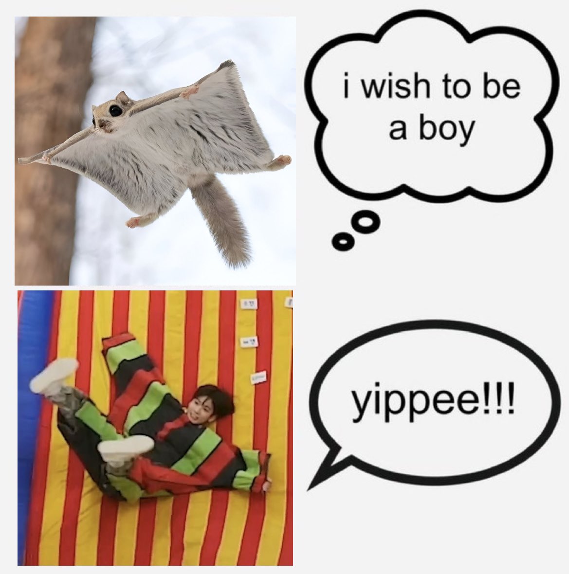 ni (@g1ngermess) on Twitter photo 