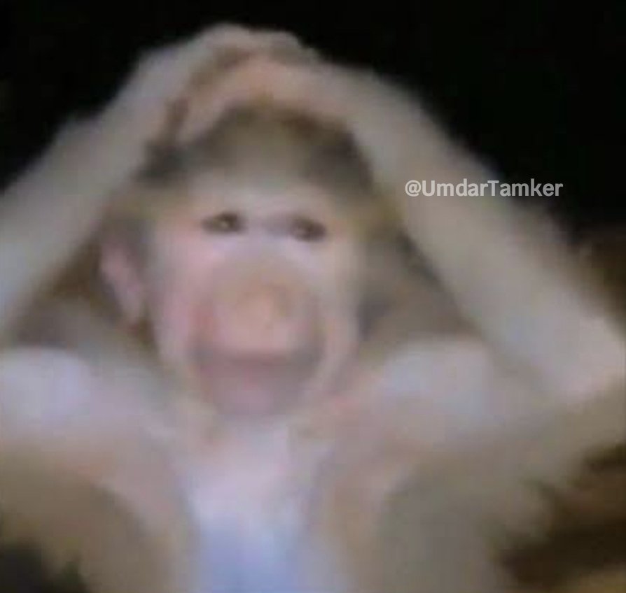 UmdarTamker tweet media