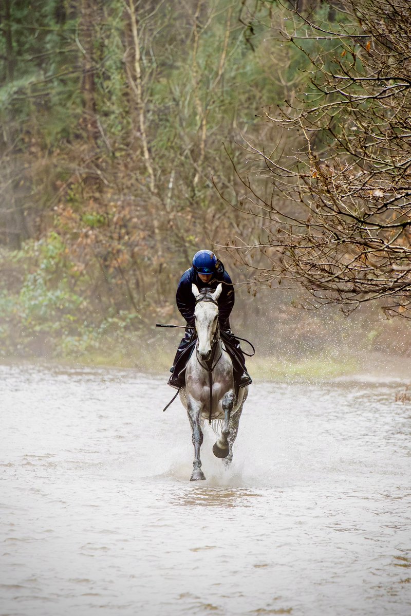 Christian Williams Racing tweet media