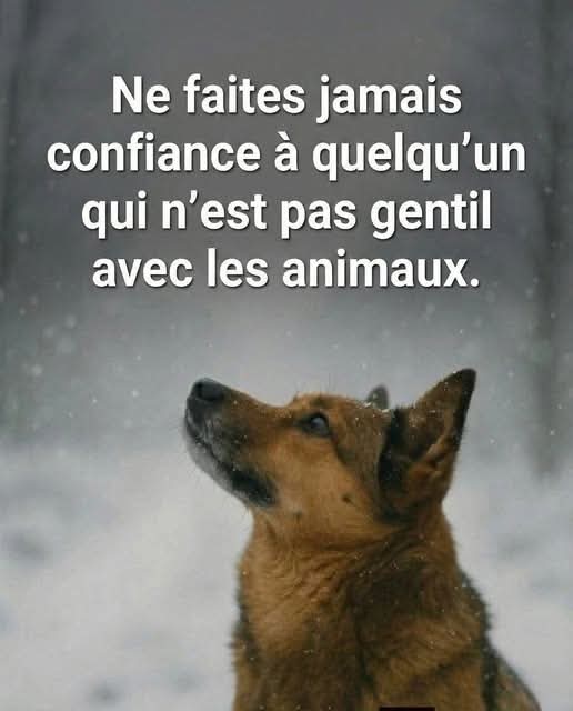 delphine tweet media