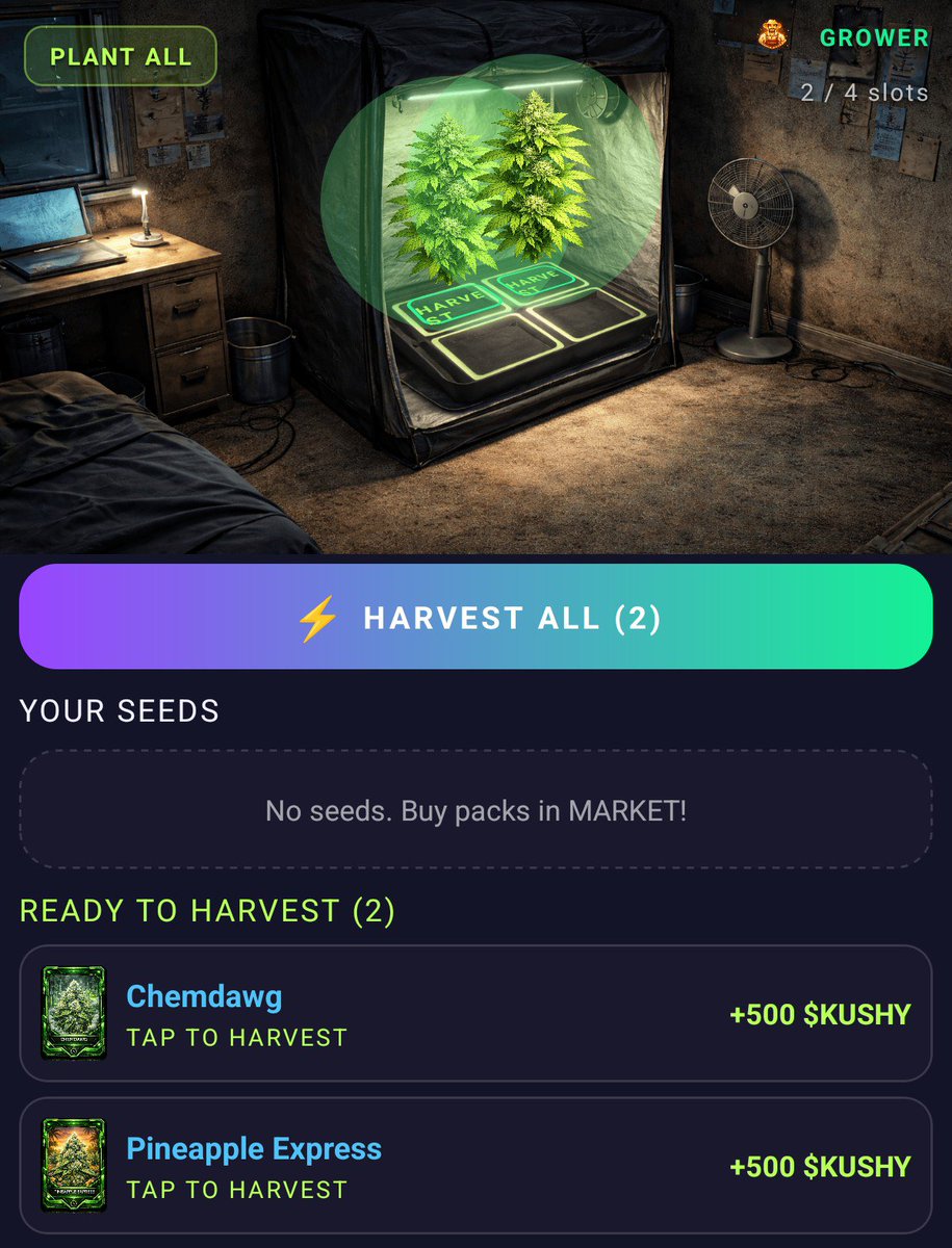 Huragan3k tweet media