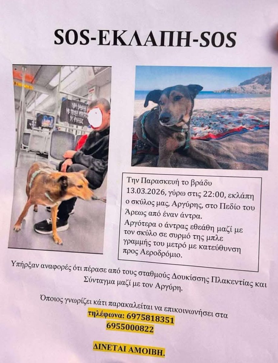 εφη απλα tweet media