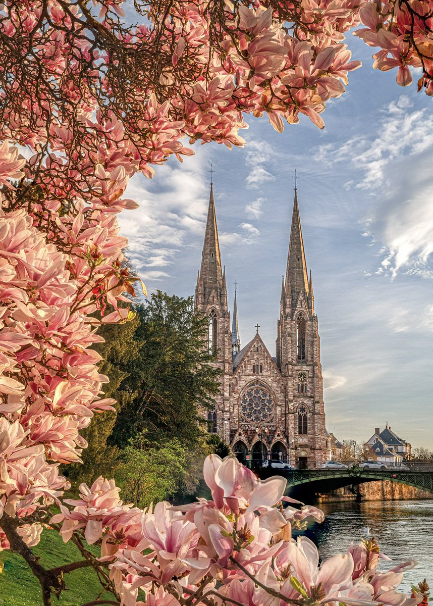 Cédrιc tweet media