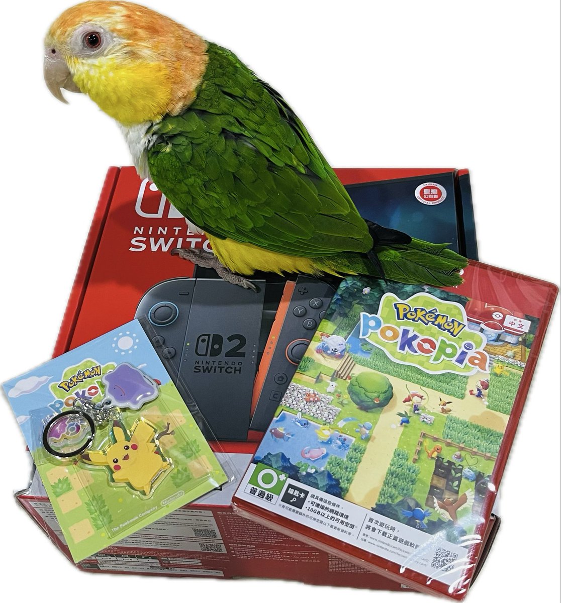 春菫☆吧晡吧晡♥個人勢Vtuber tweet media