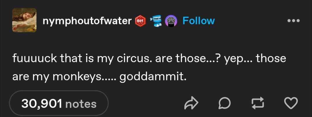 viv⁴⁸¹ tweet media