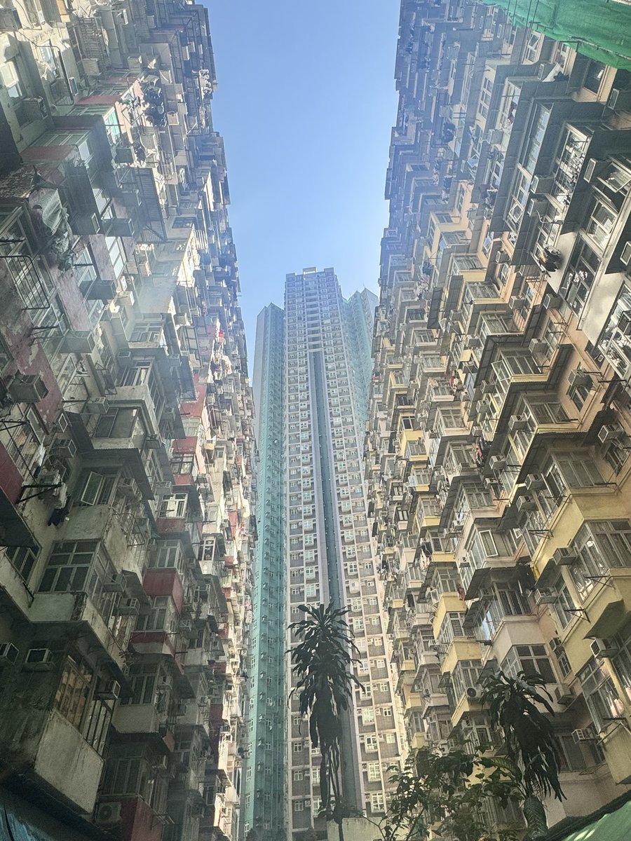 クレイ@美味株 tweet media