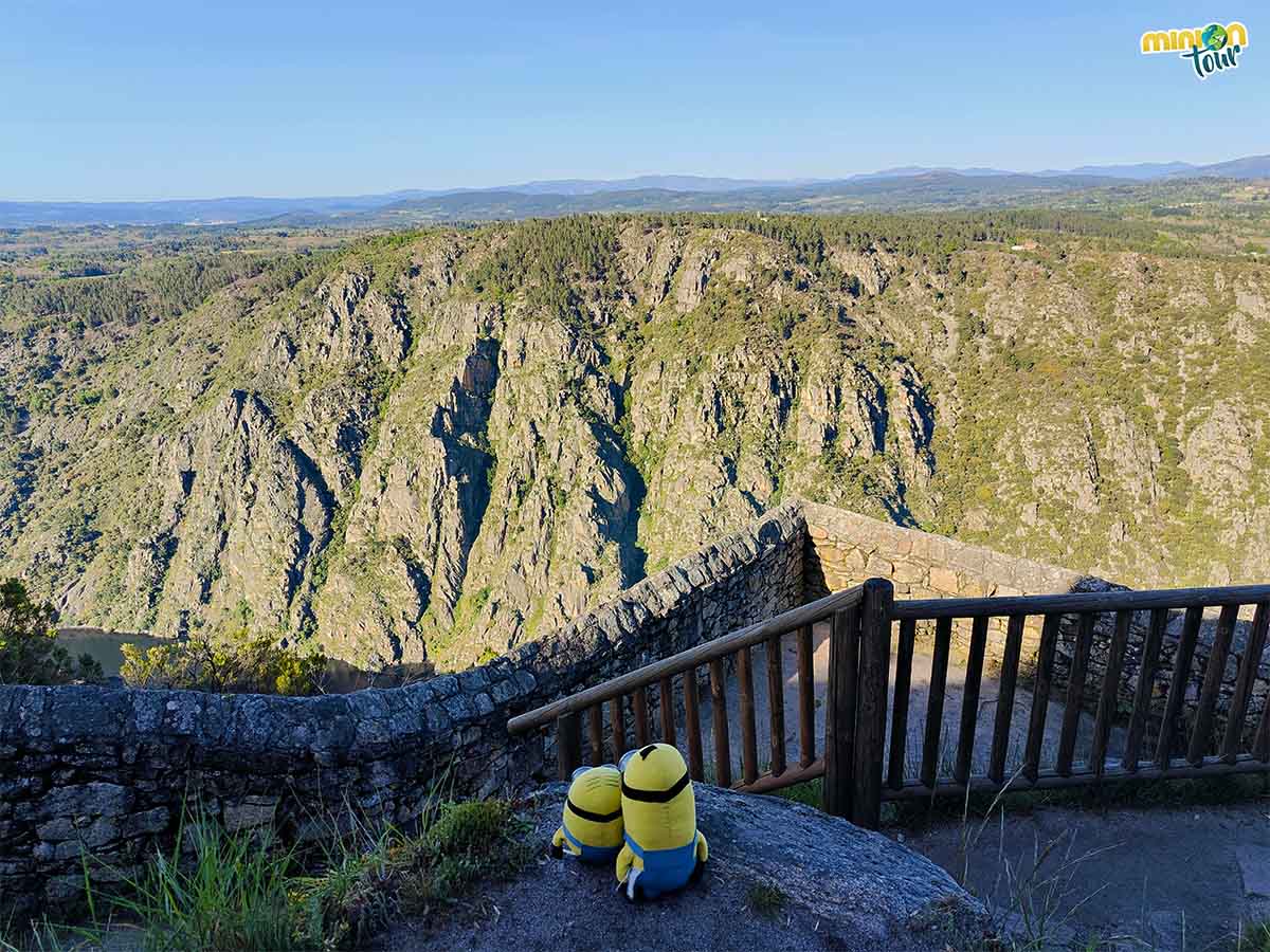 MiniOnTour tweet media