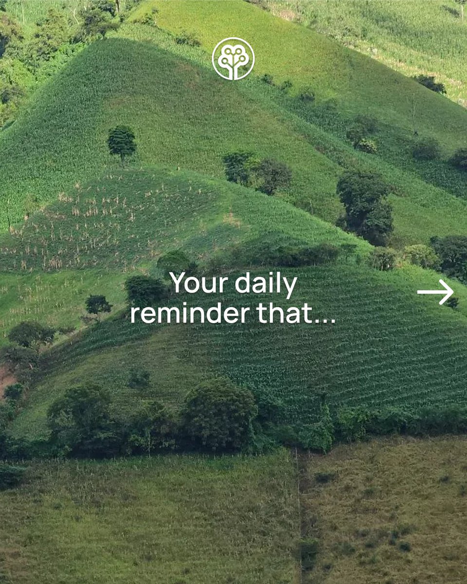 Tree-Nation tweet media