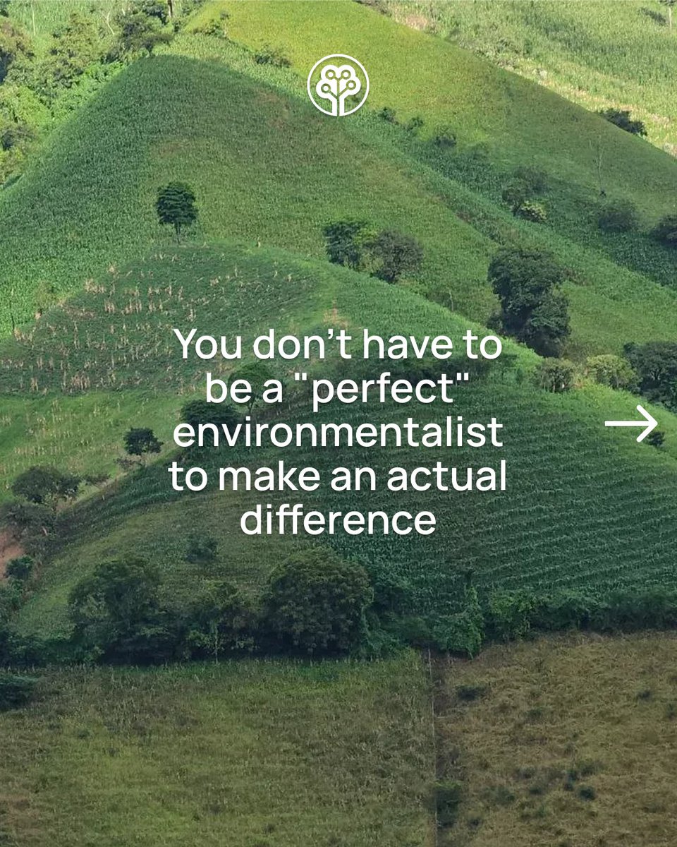 Tree-Nation tweet media