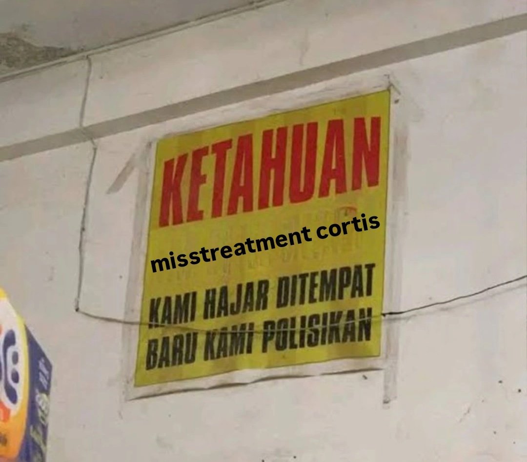 katanya ini kumbang εїз tweet media