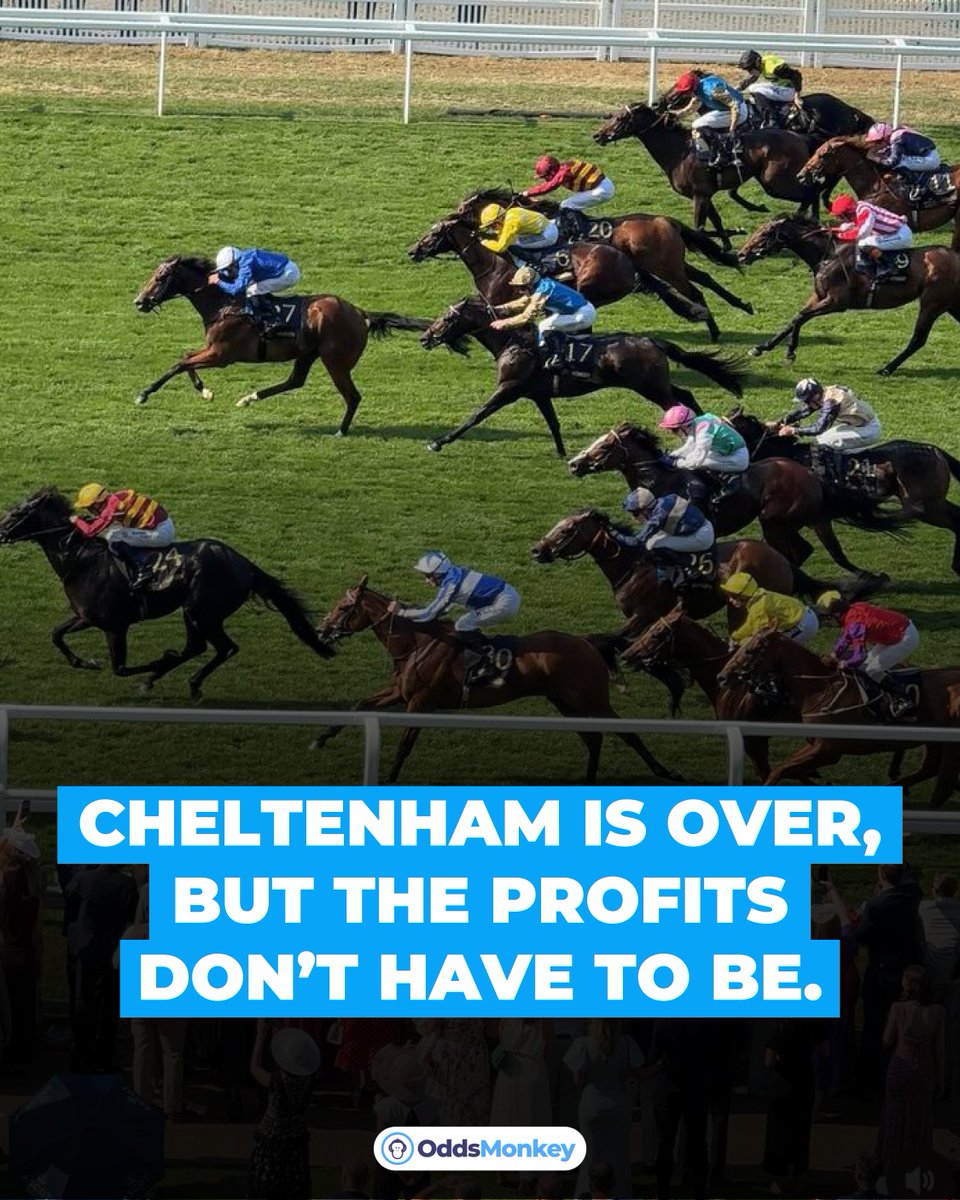 OddsMonkey tweet media