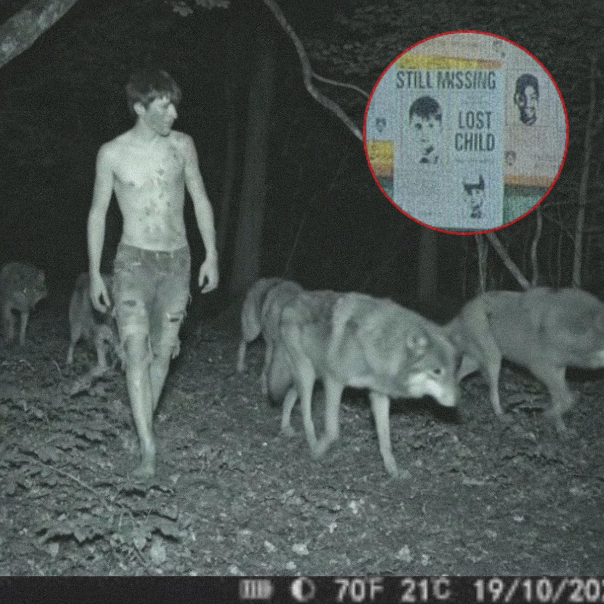 Mr PitBull tweet media