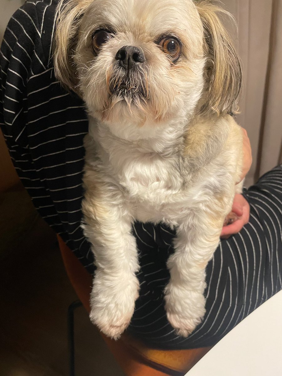 ぶんきんちゃんねる公式 tweet media